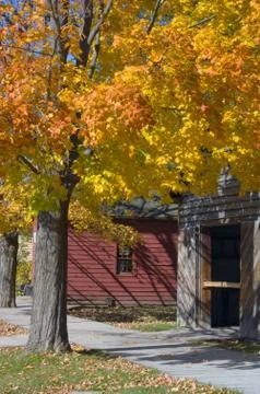 Fall's colors Stock Photos