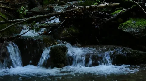 Falls of creek in dark forest Video stock 42986375