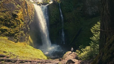 Falls Creek Falls Waterfall Oregon Washington Man Standing Columbia Gorge Video stock 280701946