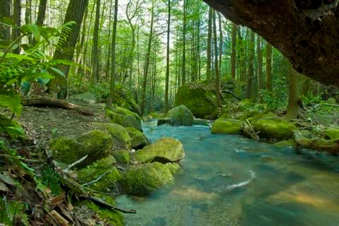 Falls creek Stock-Fotos