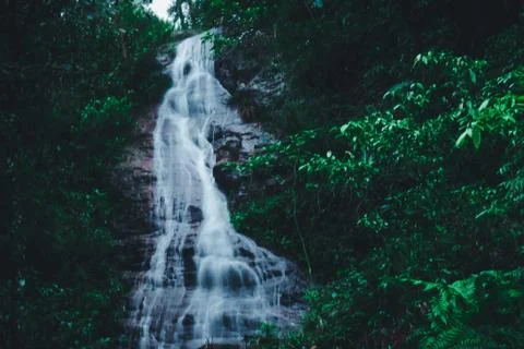 Falls in the Dark thick forest in rainy season Stock Photos