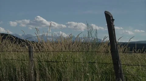 Fall's First Signs of Winter Stock Footage 8918936