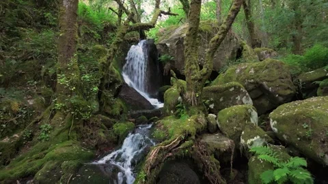 Falls Flowing From Mossy Covered Rocks in Waterfall 库存影片 336365424