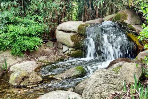 Falls in the forest Stock Photos