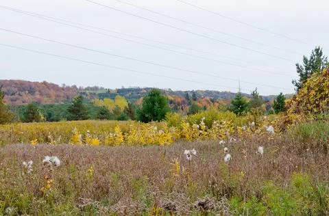 Fall's meadow Stock Photos