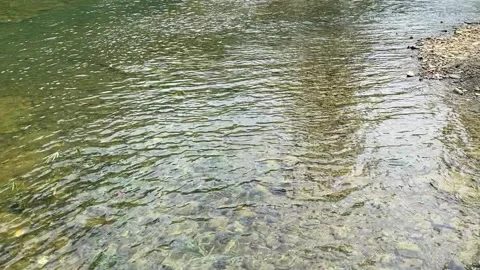 Falls, Philippines Stock Footage 246249125