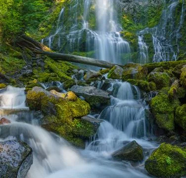 The Falls of Proxy Falls - Proxy Falls in the Three Sisters Wilderness Area,  Stock-Fotos