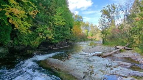 Falls River Lanse Michigan Stock-Footage 277365196
