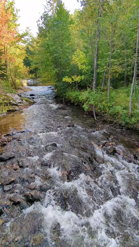 Falls River Lanse Michigan 動画素材 277792268