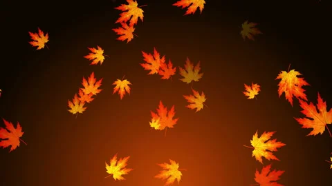 Falls Season Background Loop Stock Footage 162707068