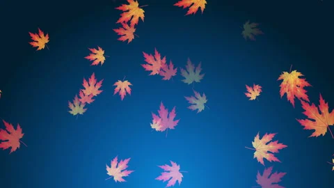 Falls Season Background Loop Stock Footage 162707344