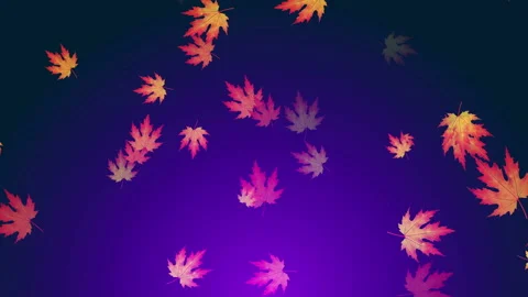 Falls Season Background Loop Stock Footage 162707623