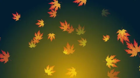 Falls Season Background Loop Stock Footage 162707852