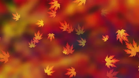 Falls Season Background Loop Stock Footage 162713643