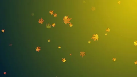 Falls Season Background Loop Stock Footage 162725663
