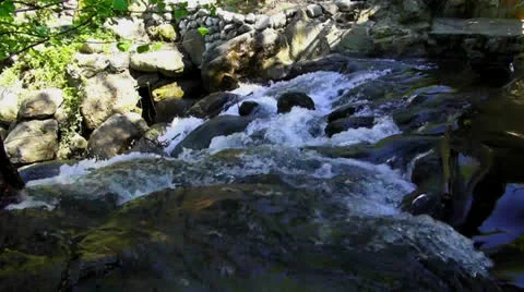 Falls in wood Stock Footage 25619651