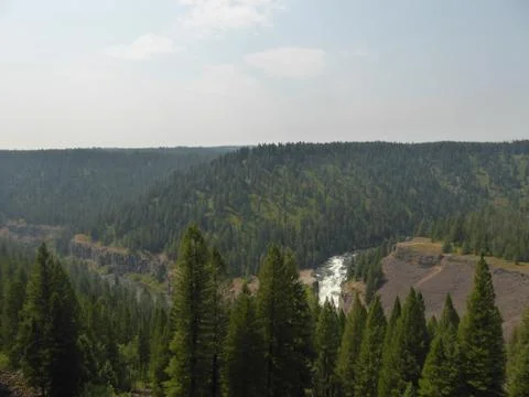 Falls in Yellowstone Foto stock