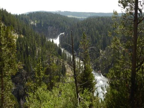 Falls in Yellowstone Foto stock