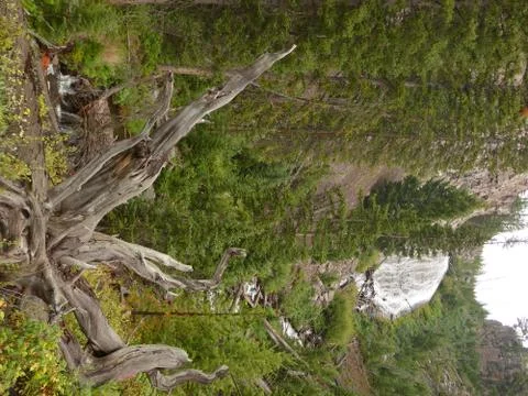 Falls in Yellowstone Stock Photos