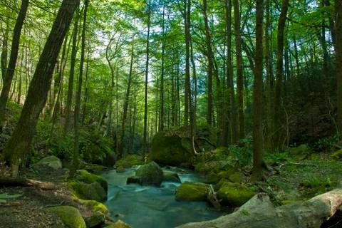 FallsCreek 1609 Stock Photos