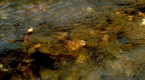 FallStream 0022BO 스톡 동영상 543396