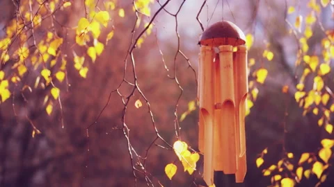 Falltime Garden Decoration Video stock 143788526