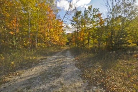  fallTrail05 dv Stock Footage 278539