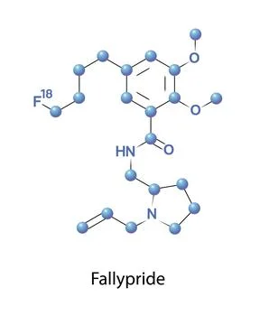 Fallypride is a high affinity dopamine D2 D3 receptor antagonist Stock Illustration