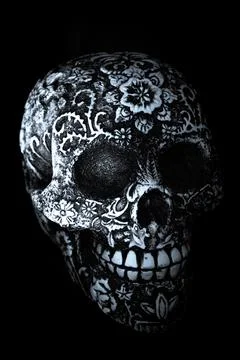 False bone skull on black background Foto stock