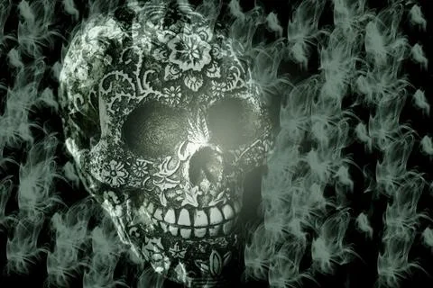 False bone skull on black background 写真素材