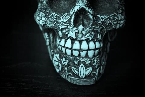 False bone skull on black background 写真素材