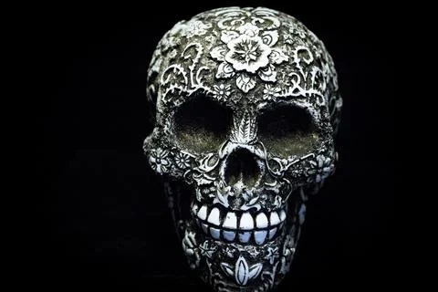 False bone skull on black background Foto stock