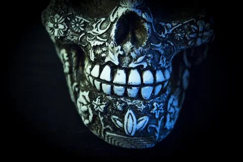 False bone skull on black background Stock Photos