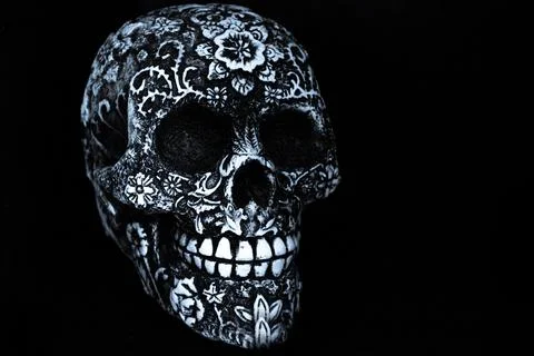 False bone skull on black background Foto stock