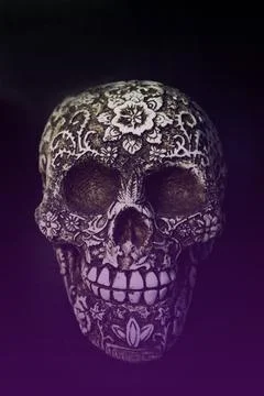 False bone skull on black background Foto stock