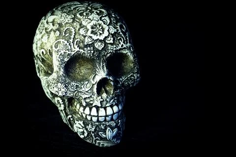 False bone skull on black background Stock Photos