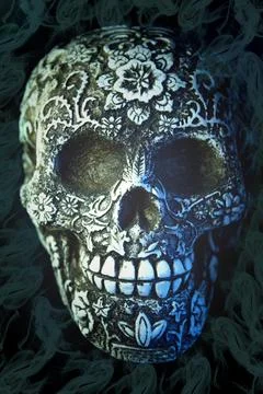 False bone skull on black background Stock Photos