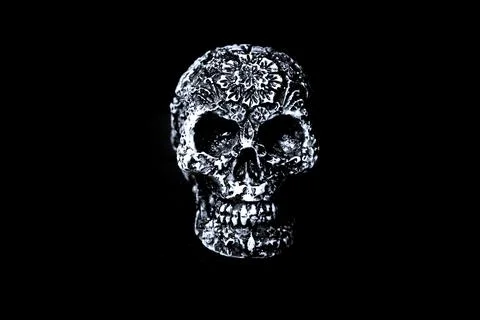False bone skull on black background Foto stock