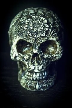 False bone skull on black background Foto stock