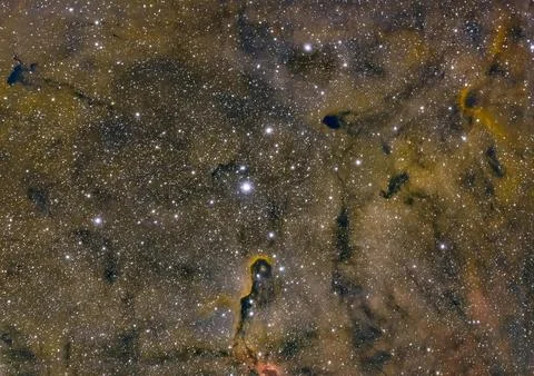 False colour image with Elephant Trunk Nebula IC1396 in the constellation of Stock Photos