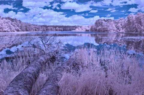 False-colour IR landscape frame of the lake in the forest. 스톡 사진