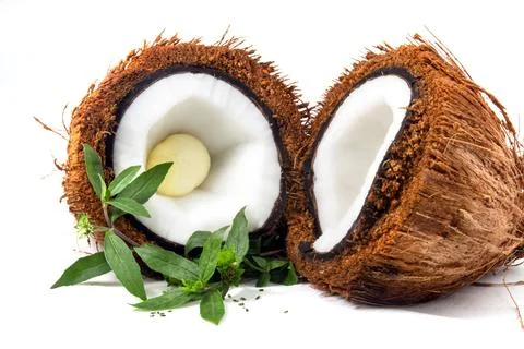 False Daisy or Eclipta Alba with Coconut. used as natural hair care. Hair R.. Stock-Fotos