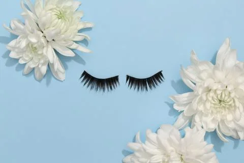 False eyelashes extensions black on blue background Stock Photos