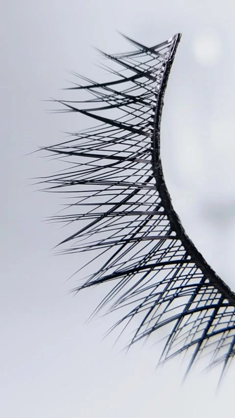 False eyelashes isolated on white background with light moving along the la.. Vídeos de archivo 333832418