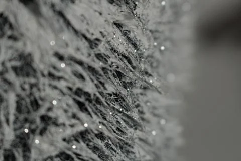 False fur texture Stock Photos