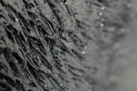 False fur texture Stock Photos