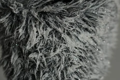 False fur texture Stock Photos