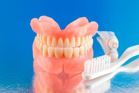 False jaw. Stock Photos