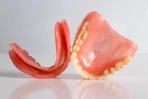 False prosthesis, jaw, teeth. Isolated. Stock Photos
