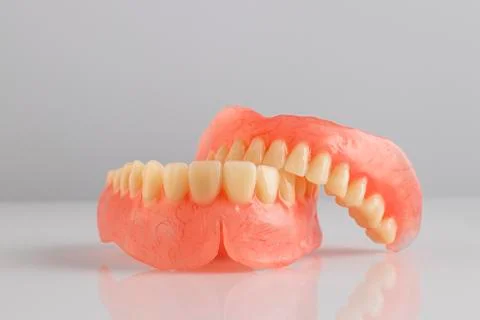 False prosthesis, jaw, teeth. Stock Photos